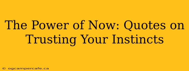 The Power of Now: Quotes on Trusting Your Instincts