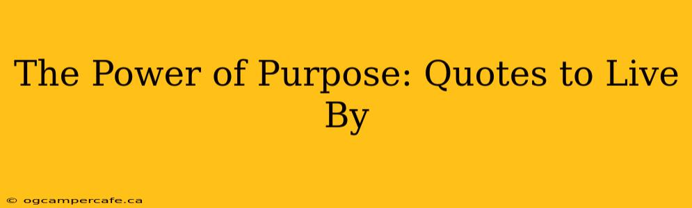 The Power of Purpose: Quotes to Live By