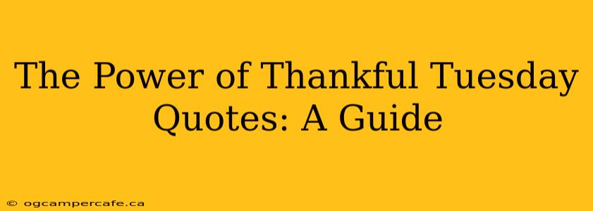 The Power of Thankful Tuesday Quotes: A Guide