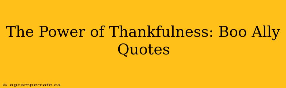 The Power of Thankfulness: Boo Ally Quotes