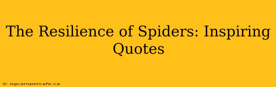 The Resilience of Spiders: Inspiring Quotes