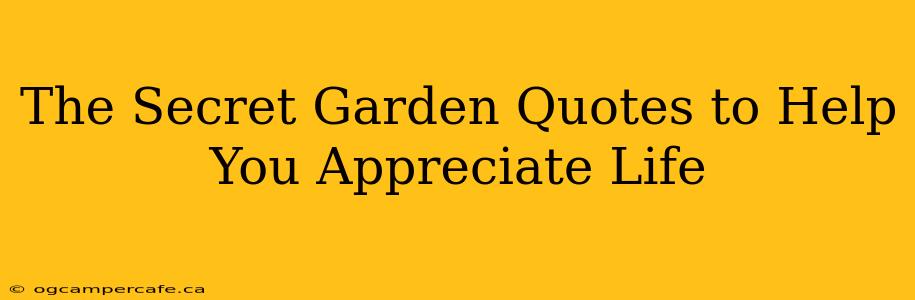 The Secret Garden Quotes to Help You Appreciate Life