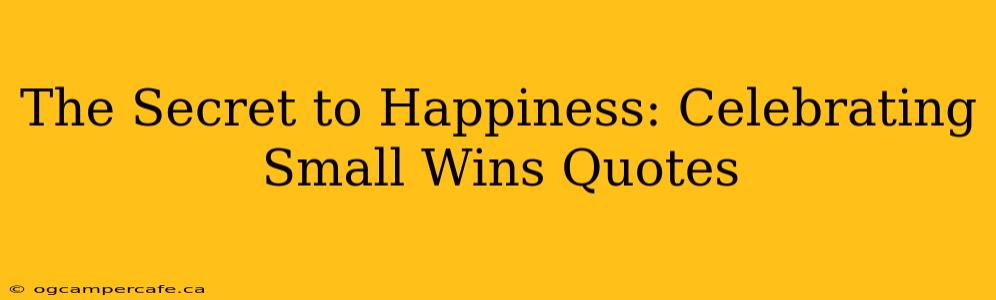 The Secret to Happiness: Celebrating Small Wins Quotes