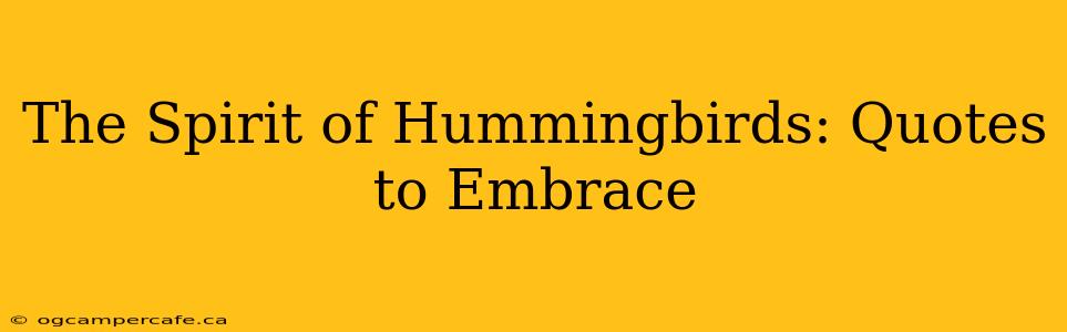 The Spirit of Hummingbirds: Quotes to Embrace