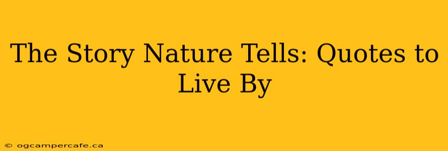 The Story Nature Tells: Quotes to Live By