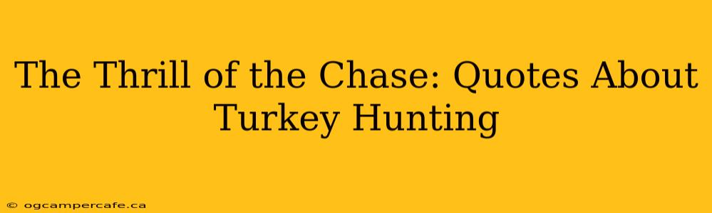 The Thrill of the Chase: Quotes About Turkey Hunting