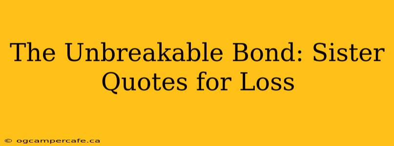 The Unbreakable Bond: Sister Quotes for Loss