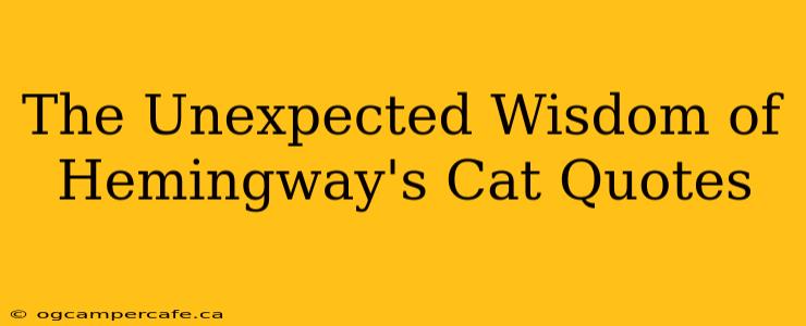 The Unexpected Wisdom of Hemingway's Cat Quotes