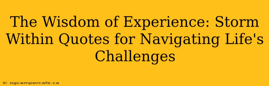 The Wisdom of Experience: Storm Within Quotes for Navigating Life's Challenges