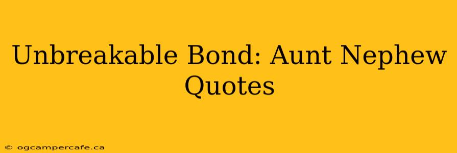 Unbreakable Bond: Aunt Nephew Quotes
