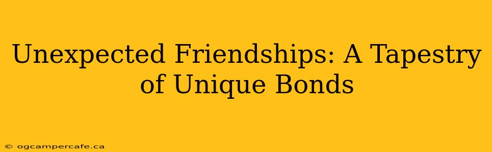 Unexpected Friendships: A Tapestry of Unique Bonds