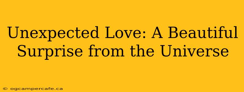 Unexpected Love: A Beautiful Surprise from the Universe