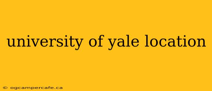 university of yale location