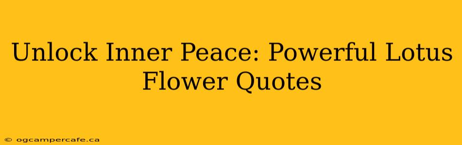 Unlock Inner Peace: Powerful Lotus Flower Quotes