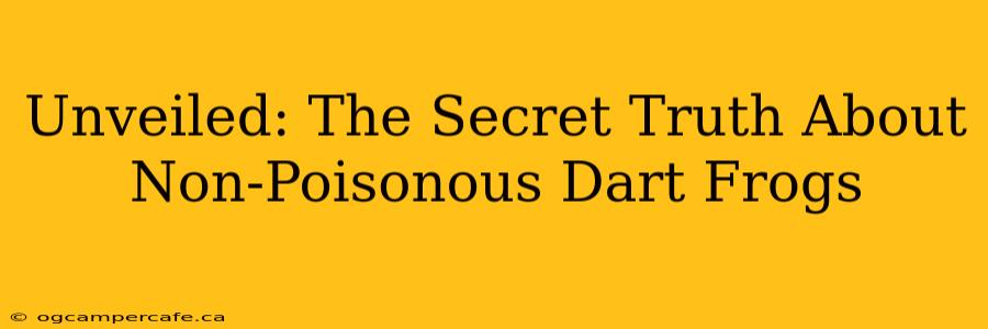 Unveiled: The Secret Truth About Non-Poisonous Dart Frogs