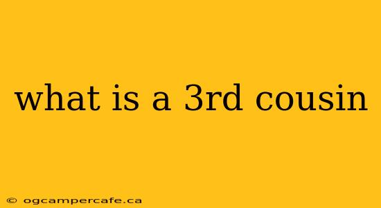 what is a 3rd cousin