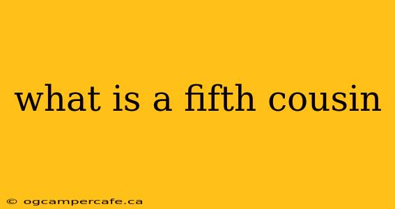what is a fifth cousin