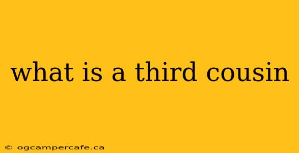 what is a third cousin