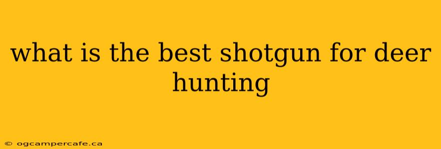 what is the best shotgun for deer hunting