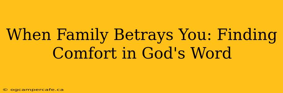 When Family Betrays You: Finding Comfort in God's Word