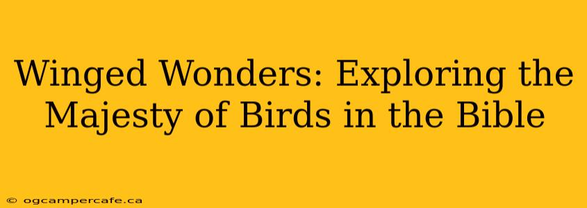 Winged Wonders: Exploring the Majesty of Birds in the Bible