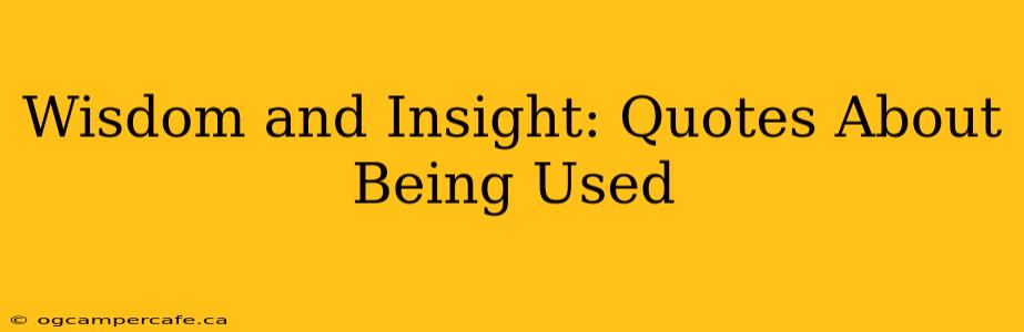 Wisdom and Insight: Quotes About Being Used