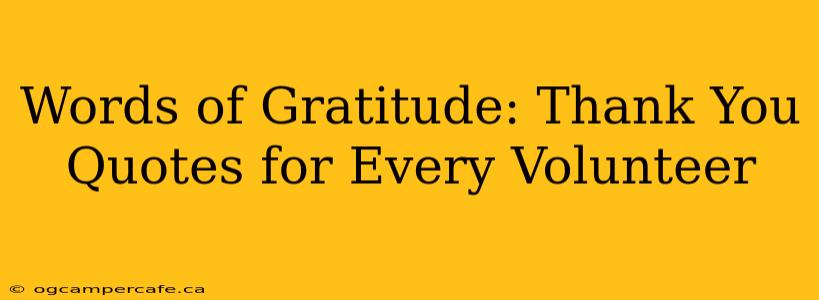 Words of Gratitude: Thank You Quotes for Every Volunteer