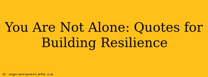 You Are Not Alone: Quotes for Building Resilience