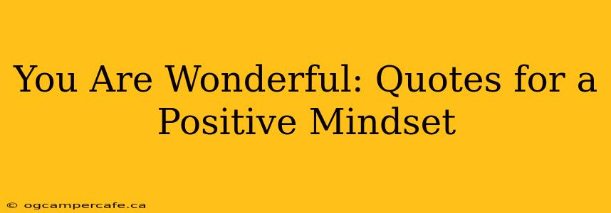 You Are Wonderful: Quotes for a Positive Mindset